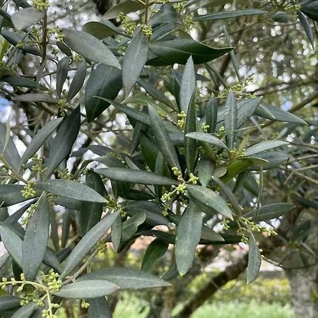 Дом отдыха Maison Face A La 6-8 Personnes Jardin - Wifi - Boyard *