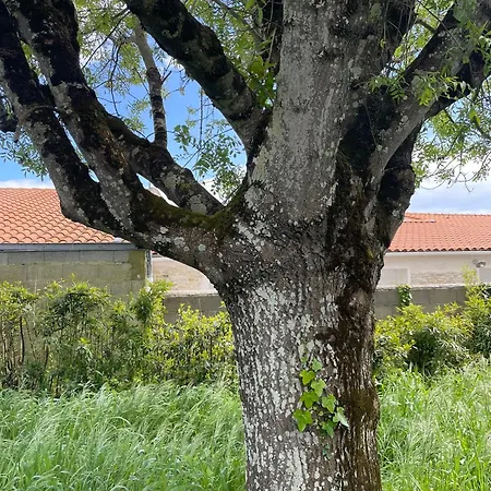 Maison Face A La 6-8 Personnes Jardin - Wifi - Boyard Дом отдыха *