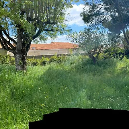 Maison Face A La 6-8 Personnes Jardin - Wifi - Boyard 度假居