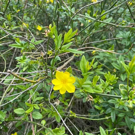 度假居 Maison Face A La 6-8 Personnes Jardin - Wifi - Boyard